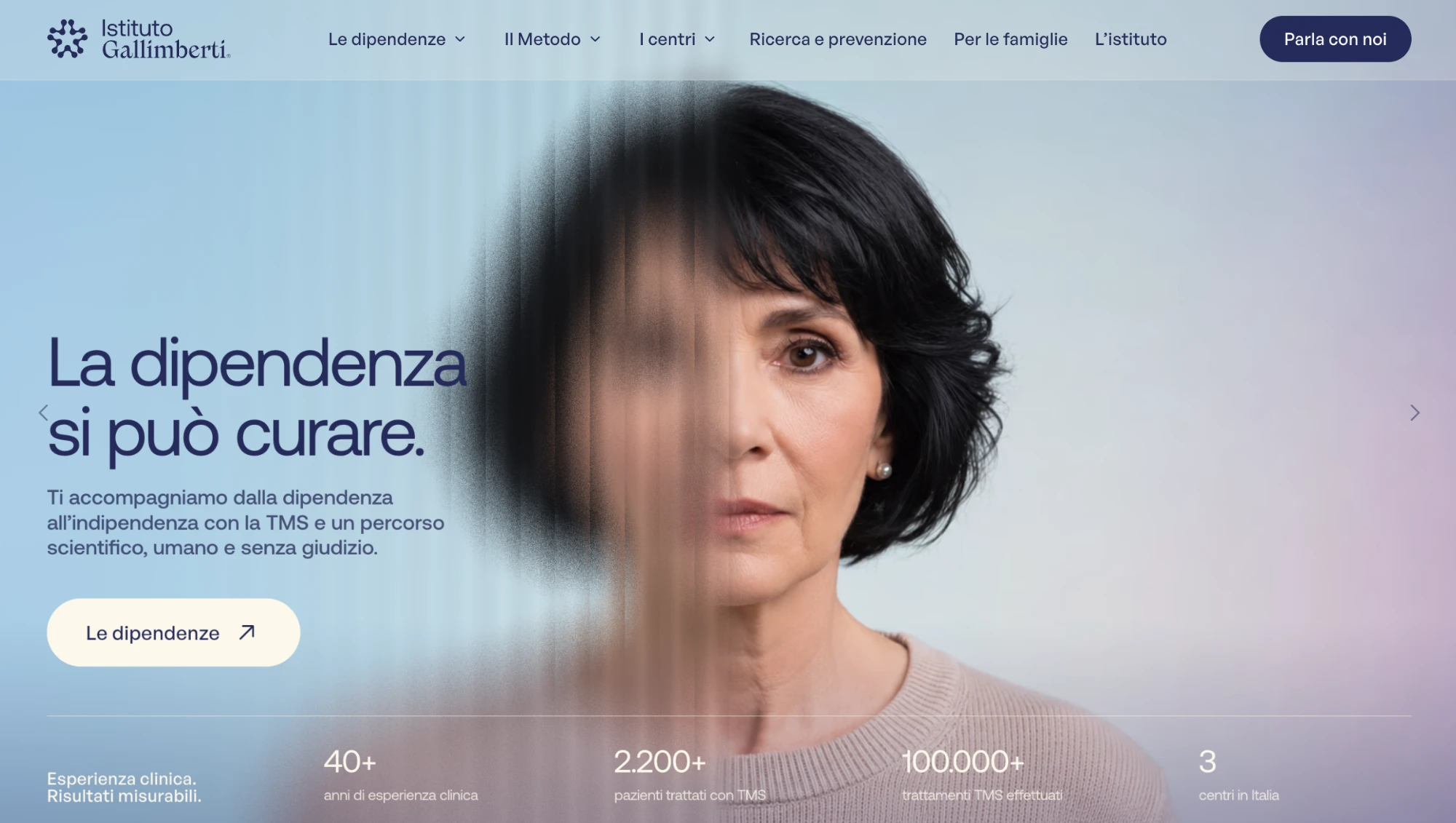 Istituto Gallimberti, Website